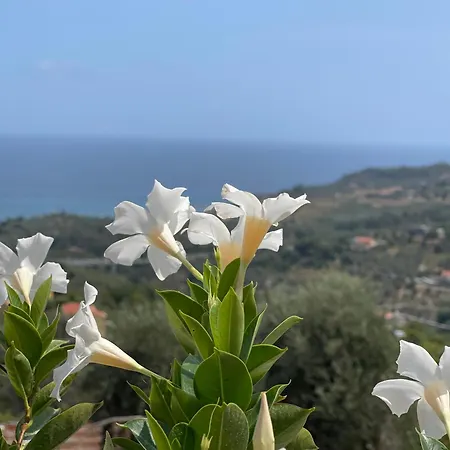 Ilbaciodelsole Diano Marina