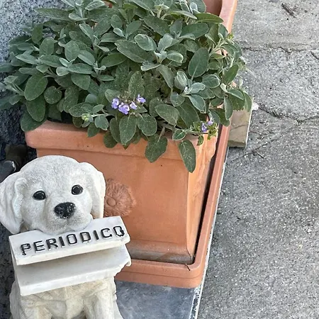 Apartment Ilbaciodelsole