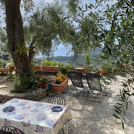 Ilbaciodelsole Apartment Diano Marina